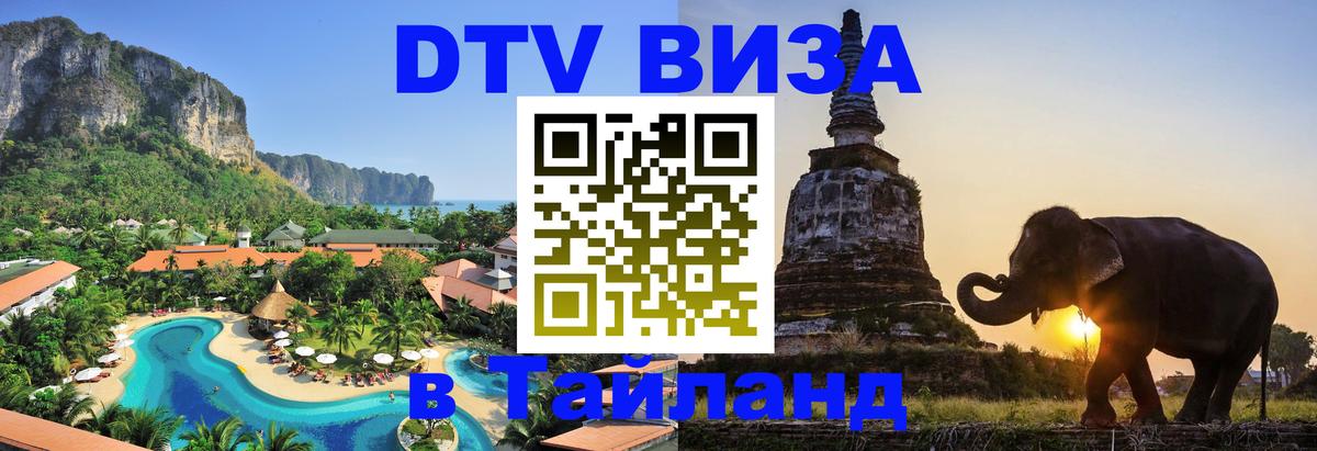 Сколько стоит DTV виза — актуальные цены, оформление даже без документов - Мурино  10.01.2026 